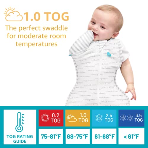 Love to Dream Swaddle UP Transition Bag for 3-6 Months