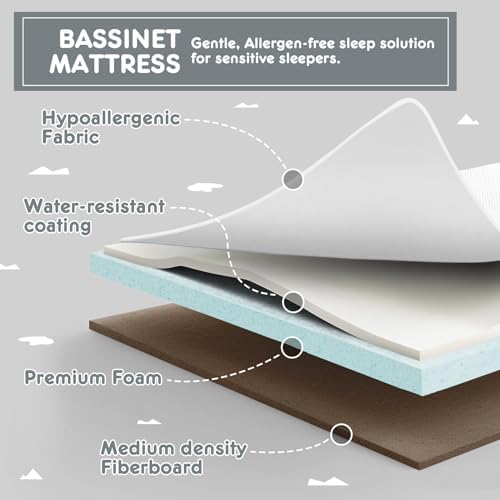 HARPPA 3 in 1 Cuddly Bassinet with Mattress and Wheels