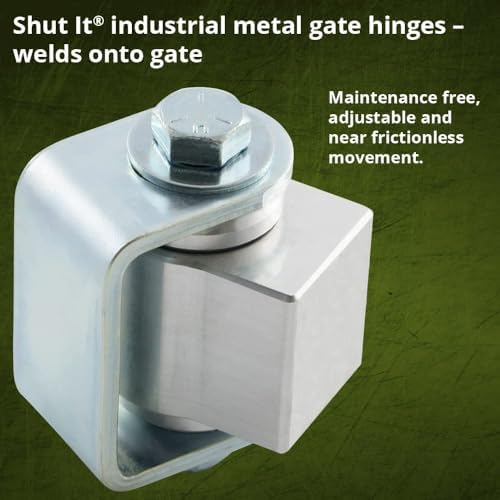 DD Technologies CI3300 Heavy Duty Gate Hinge 1