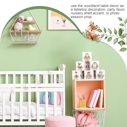 Vertintong Woodland Animal Wall Decor Blocks